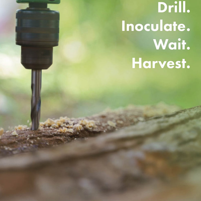 Oyster Mushroom Log Growing Kit