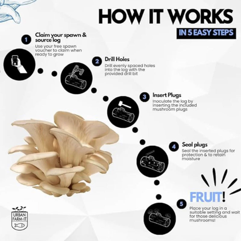 Oyster Mushroom Log Growing Kit