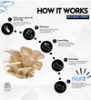 Oyster Mushroom Log Growing Kit
