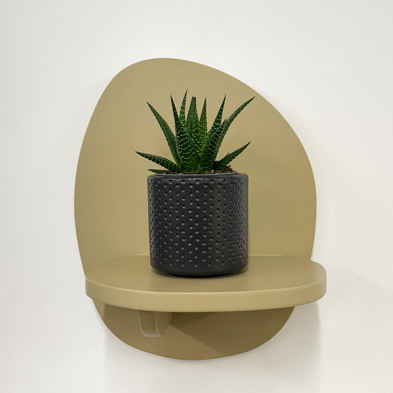 Mini Haworthia & Pot