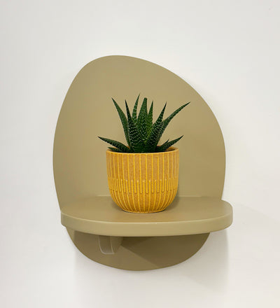 Mini Haworthia & Pot