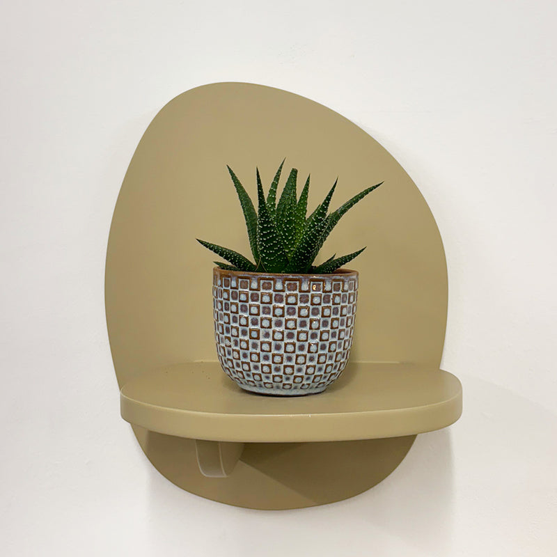 Mini Haworthia & Pot