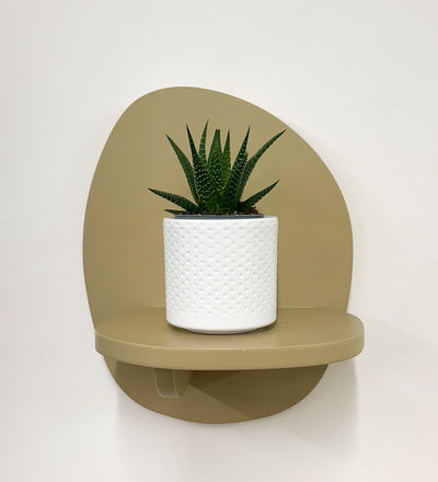 Mini Haworthia & Pot