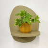 Mini English Ivy & Pot