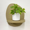 Mini English Ivy & Pot