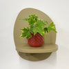 Mini English Ivy & Pot