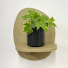 Mini English Ivy & Pot