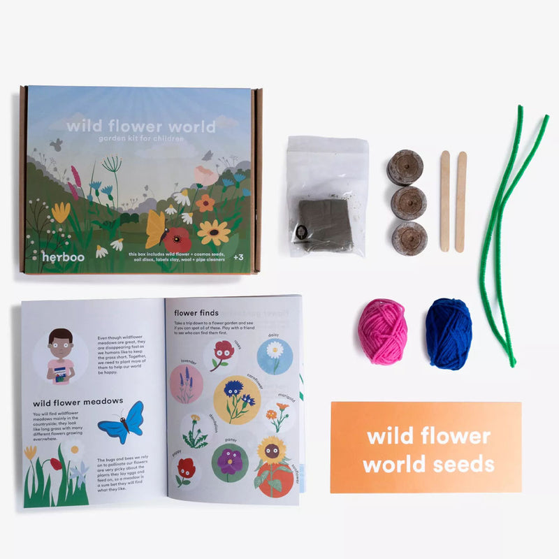 Wildflower World Seed Kit