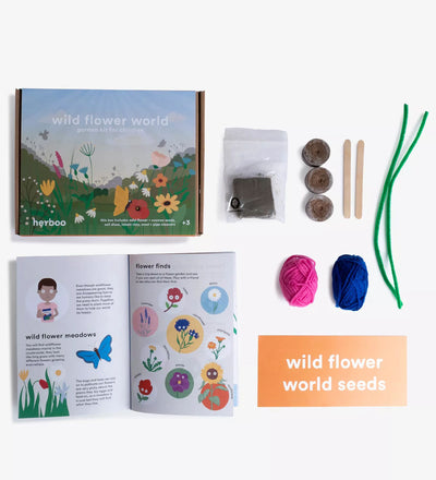 Wildflower World Seed Kit