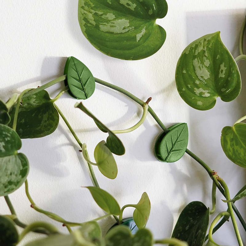 Climbing Plant Clips