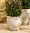 White Fibrestone Planter (21cm)