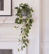 Artificial Trailing Nerve Plant