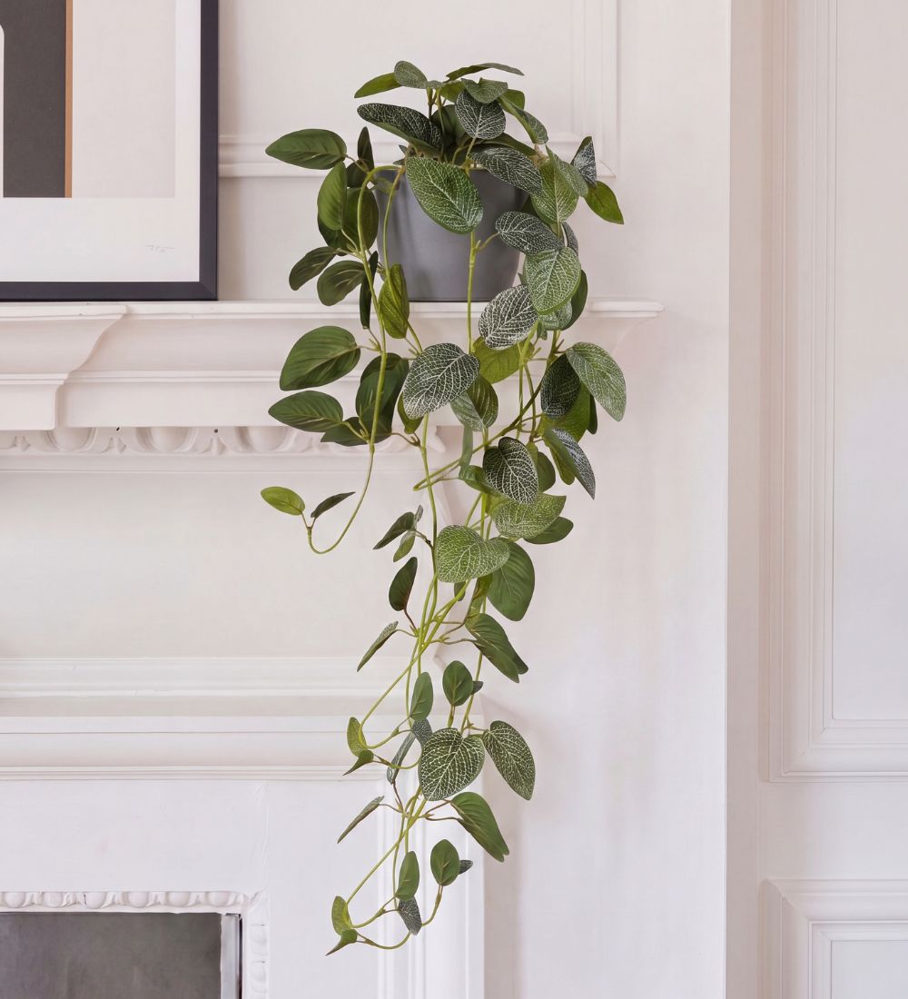 Artificial Trailing Nerve Plant