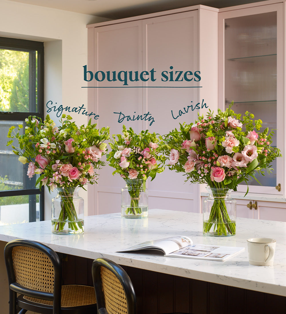 Peony Blush