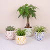 Splatter Pot x Hot Pottery