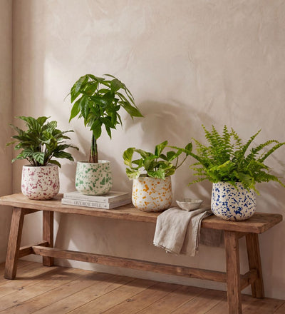 Splatter Pot x Hot Pottery Orange