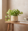 Splatter Pot x Hot Pottery Orange