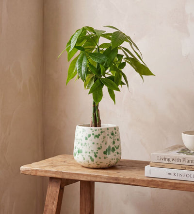 Splatter Pot x Hot Pottery Green