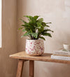 Splatter Pot x Hot Pottery Cranberry