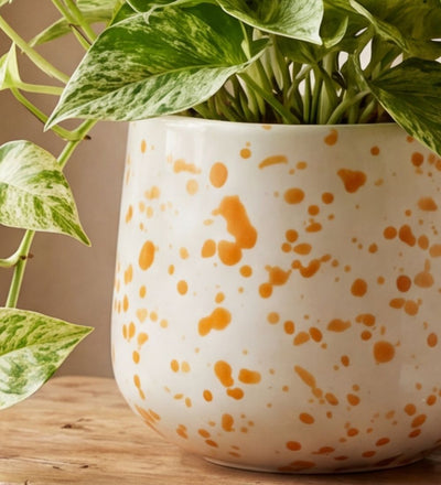 Splatter Pot x Hot Pottery Orange
