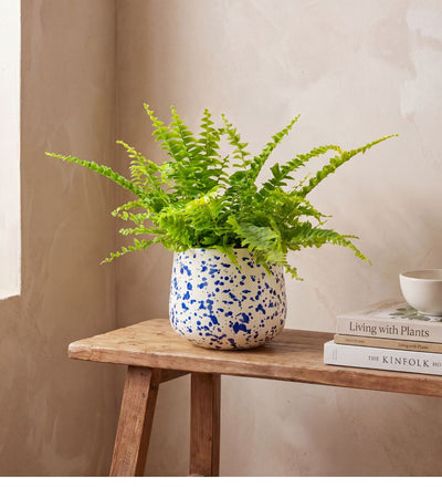 Splatter Pot x Hot Pottery Blue