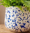 Splatter Pot x Hot Pottery Blue