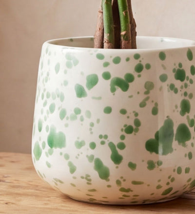 Splatter Pot x Hot Pottery Green