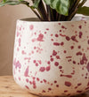 Splatter Pot x Hot Pottery Cranberry