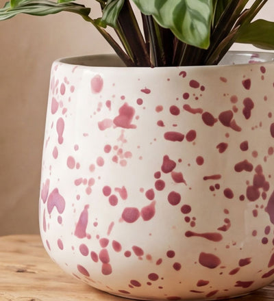 Splatter Pot x Hot Pottery Cranberry