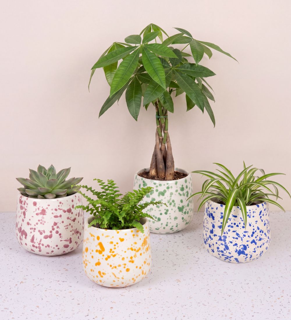 Splatter Pot x Hot Pottery