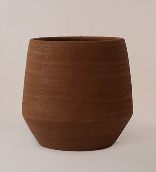 Humus Terra 20cm
