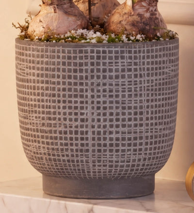 Hyacinth & Reindeer in Ceramic Pot