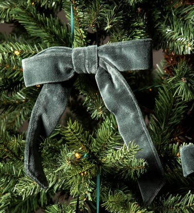 Fern Velvet Bow Set