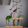 Propagation Station