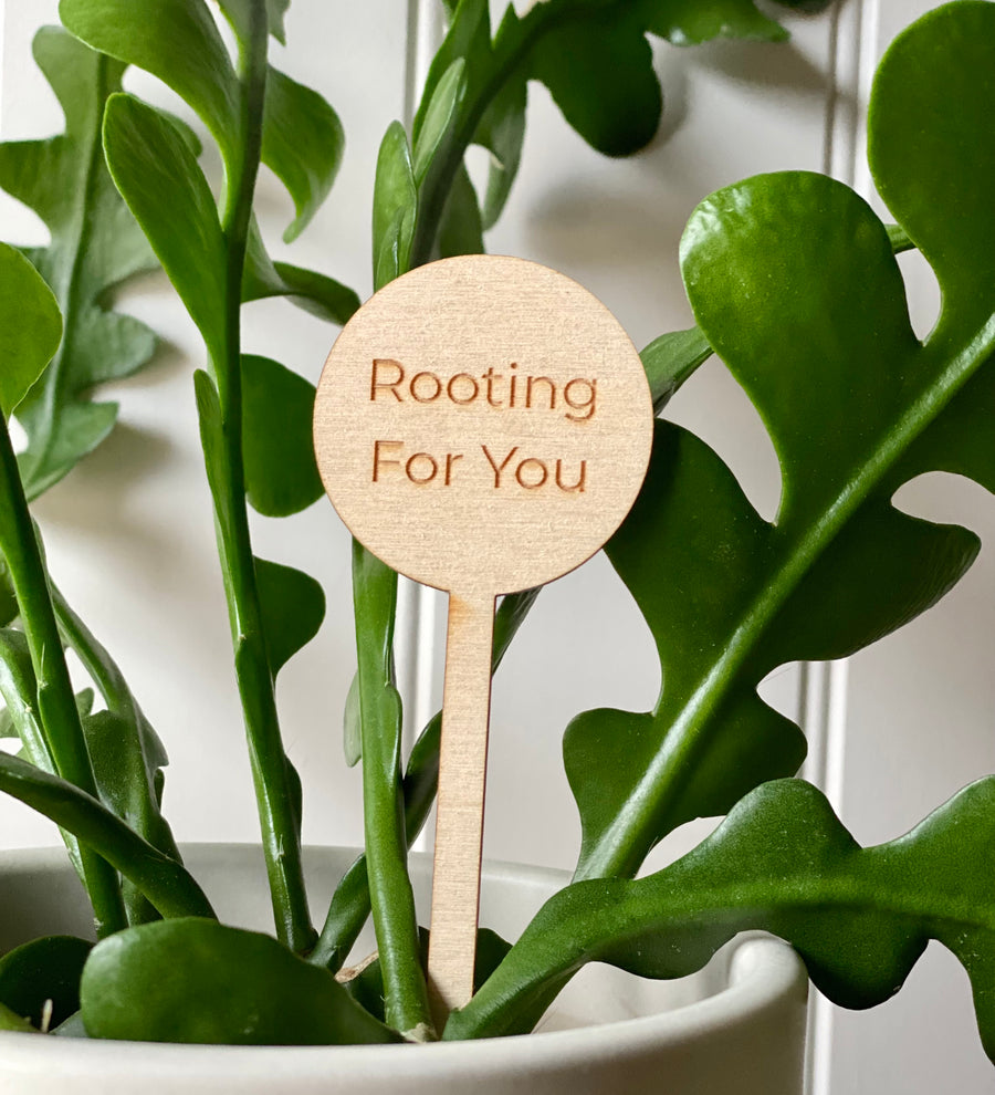 Rooting For You Plant Pick