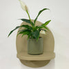 Mini Peace Lily & pot
