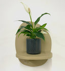 Grey Pot