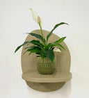 Green Pot