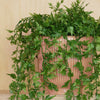 Artificial Ivy Hanging