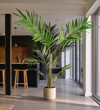 artificial palm plants uk Artificial Kentia Palm