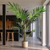 Artificial Kentia Palm