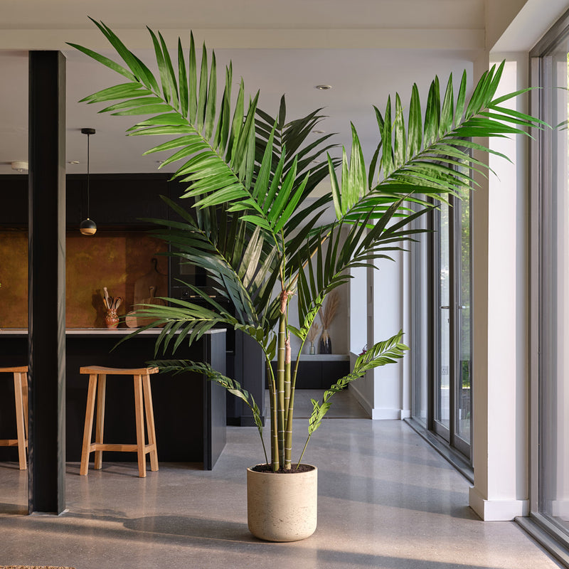 Artificial Kentia Palm
