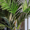 Artificial Kentia Palm