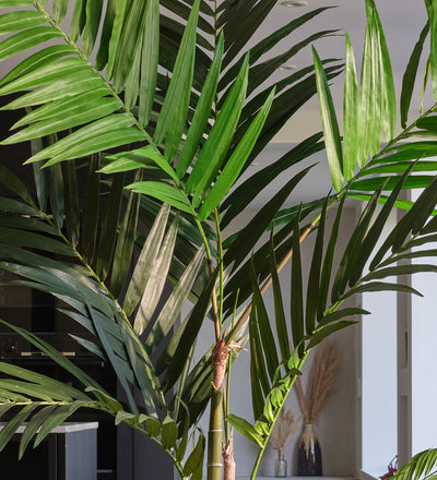 Artificial Kentia Palm