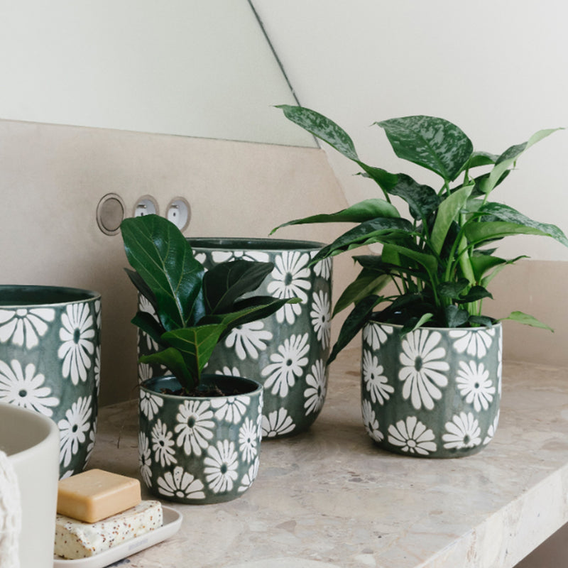 Khaki Daisy Pot