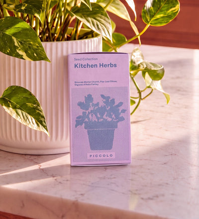 Piccolo Kitchen Herbs Seeds