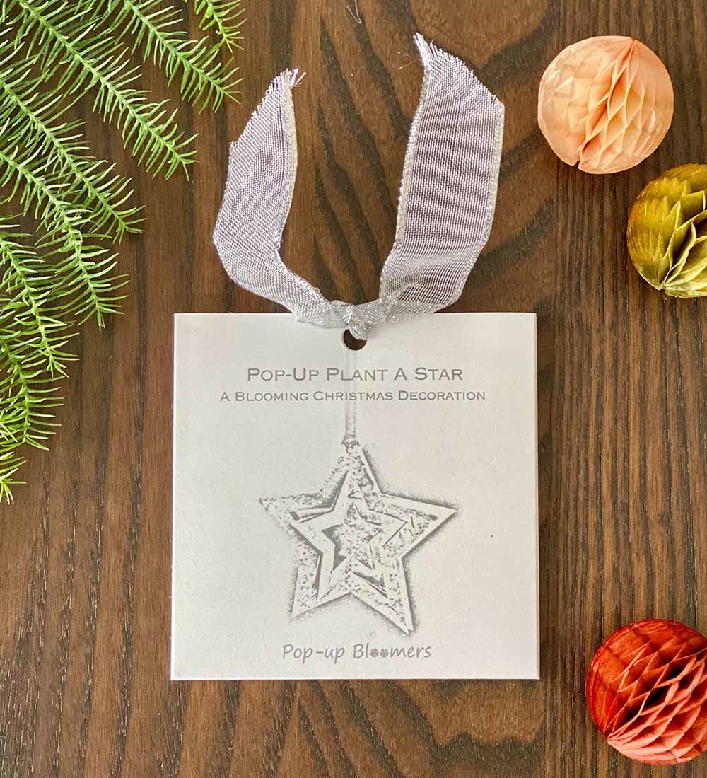 Pop-up Star Tree Decoration