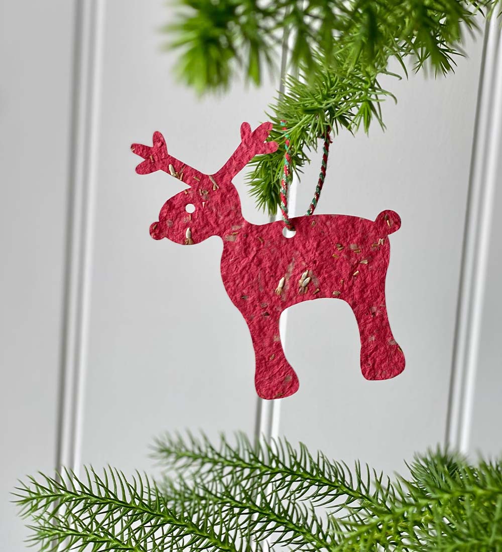 Plant A Reindeer Tree Decoration