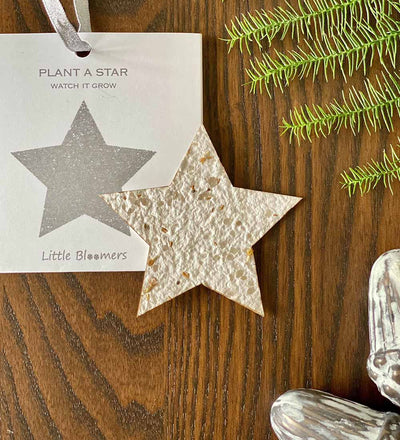 Plant A Star Decoration
