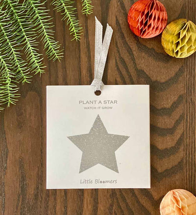 Plant A Star Decoration